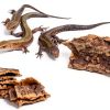 Reptile Bark Platform Homoyoyo Cork Decor Model U04BBUO18192LXOD8T-2