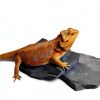 Carolina Custom Cages Habitat Rocks Medium Basking for Reptiles-1