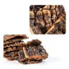 Reptile Bark Platform Homoyoyo Cork Decor Model U04BBUO18192LXOD8T-5