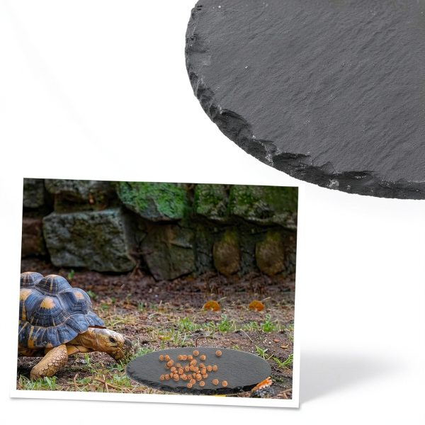 Reptile Basking Rock Exircy Slate Platform for Turtles 5.9x5.9 Inch-5