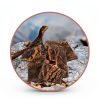 Reptile Bark Platform Homoyoyo Cork Decor Model U04BBUO18192LXOD8T-7