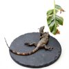 Reptile Basking Rock Exircy Slate Platform for Turtles 5.9x5.9 Inch-2