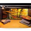Carolina Custom Cages Habitat Rocks Medium Basking for Reptiles-4