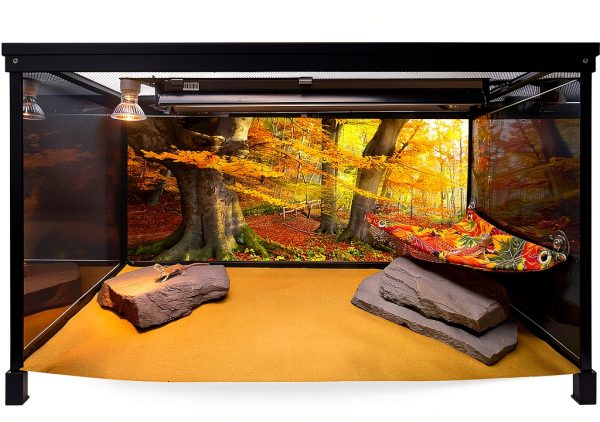 Carolina Custom Cages Habitat Rocks Medium Basking for Reptiles-4