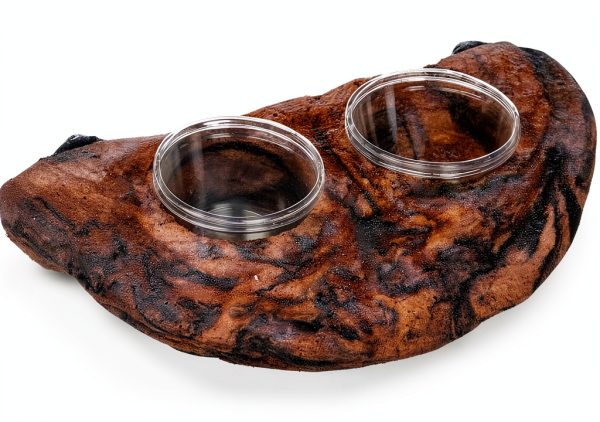 Magnetic Gecko Ledge Earth by PS04O Natural Rock Habitat 9x4.75in-0