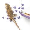 Rock Climbing Holds for Bearded Dragons 24pcs Black Set by JILINWEI-3