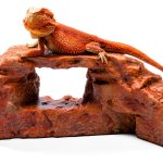 Rock Arch Reddish Brown Habitat Accessory by Carolina Custom Cages 19"-0