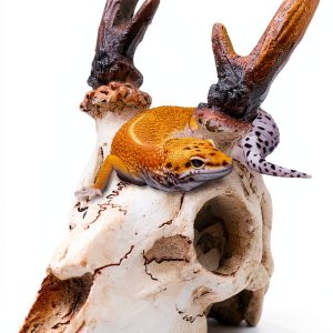Reptile Decorations White Resin Skull Ornament by MHLLGN for Terrarium-0