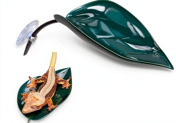 Gecko Tank Accessories Dark Green Logmoriol Oval Rock Décor for-0