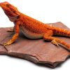 Natural Habitat Basking Rocks Wyoming Rose Large Carolina Custom Cages-5