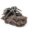 Reptile Cork Bark CLISPEED 4‑Piece Natural Terrarium Climbing Mat-6