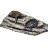 Turtle Basking Platform Tfwadmx Resin Dock with Suction Cups Grey-2