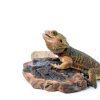 Reptile Cork Bark CLISPEED 4‑Piece Natural Terrarium Climbing Mat-7