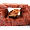 Rock Arch Reddish Brown Habitat Accessory by Carolina Custom Cages 19"-7