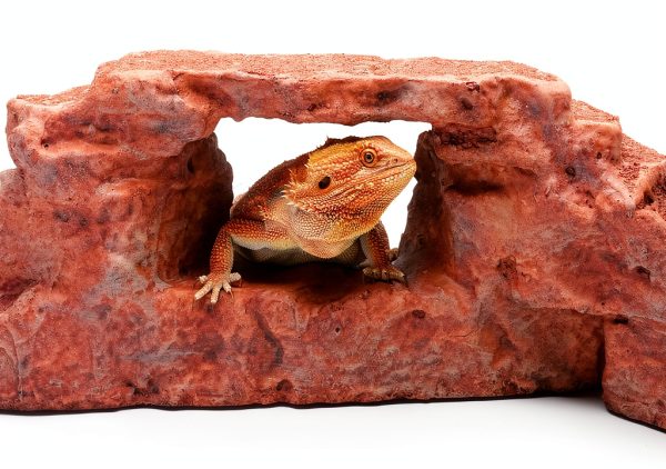 Rock Arch Reddish Brown Habitat Accessory by Carolina Custom Cages 19"-7