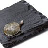 Reptile Basking Platform ACKEIVTO Rock Plate 8x12in Easy Clean-2