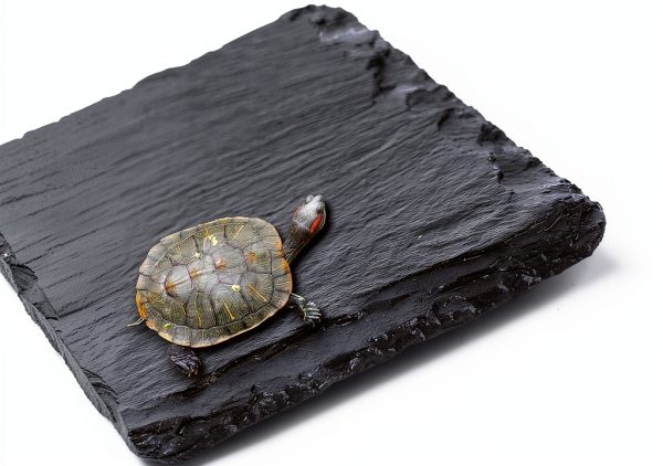 Reptile Basking Platform ACKEIVTO Rock Plate 8x12in Easy Clean-2