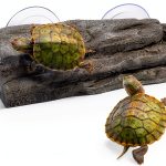 Turtle Basking Platform Tfwadmx Resin Dock with Suction Cups Grey-0