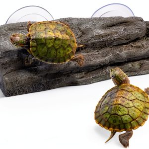 Turtle Basking Platform Tfwadmx Resin Dock with Suction Cups Grey-0