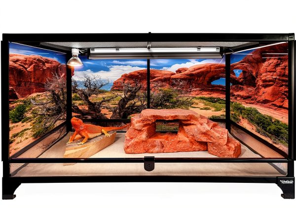 Rock Arch Reddish Brown Habitat Accessory by Carolina Custom Cages 19"-5
