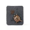 Reptile Basking Platform CAPASTEC Slate for Tortoise Gray Black 3.94"-1