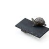 2PCS Turtle Basking Platform 7.9 x 6 inch Rectangle +6 inch Round,Reptile Basking Rocks,Natural Rock Plate,Tortoise Habitat Accessories,Turtle and Fish Bathing Feeding Slate,Aquarium Decoration-4