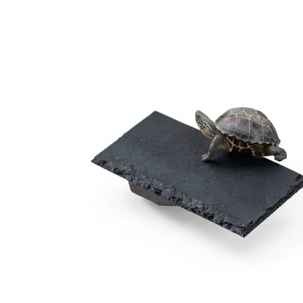 2PCS Turtle Basking Platform 7.9 x 6 inch Rectangle +6 inch Round,Reptile Basking Rocks,Natural Rock Plate,Tortoise Habitat Accessories,Turtle and Fish Bathing Feeding Slate,Aquarium Decoration-4