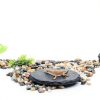 Reptile Basking Platform CAPASTEC Slate Tortoise & Turtle Slip‑Resist-2