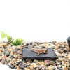 Reptile Basking Platform CAPASTEC Slate for Tortoise Gray Black 3.94"-2