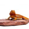 Natural Habitat Basking Rocks Wyoming Rose Large Carolina Custom Cages-4