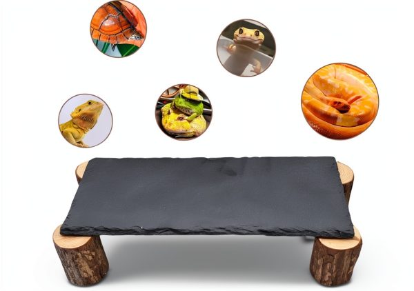 Bearded Dragon Platform kwongkwongRom Rock Slate Wooden Logs-2