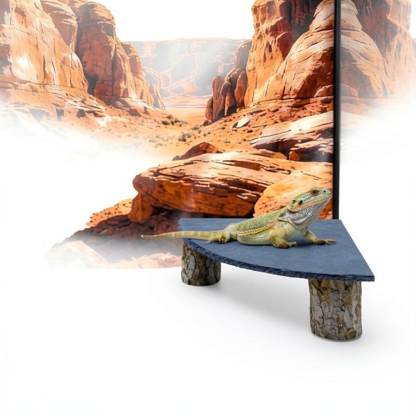 Bearded Dragon Tank Accessories MHLLGN Slate Basking Platform Wood-5
