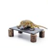 Bearded Dragon Platform kwongkwongRom Rock Slate Wooden Logs-4
