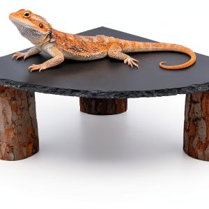 Bearded Dragon Tank Accessories MHLLGN Slate Basking Platform Wood-0