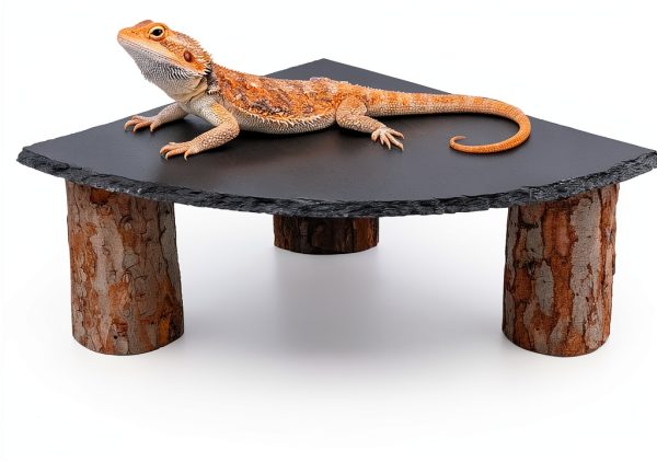 Bearded Dragon Tank Accessories MHLLGN Slate Basking Platform Wood-0