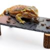 Bearded Dragon Platform kwongkwongRom Rock Slate Wooden Logs-0
