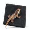 Slate for Tortoise 3.9x3.9 Natural Slate Basking Platform by Alrhso-4