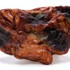 Naturalistic Terrarium Mushroom Ledge ZOO MED Rock 4.5x7" Perch-0