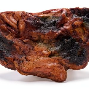 Naturalistic Terrarium Mushroom Ledge ZOO MED Rock 4.5x7" Perch-0