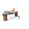 Bearded Dragon Tank Accessories MHLLGN Slate Basking Platform Wood-4