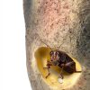 Navaris Reptile Cricket Feeding Rock Polyresin Stone Feeder with-2