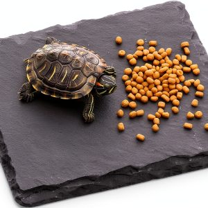Slate for Tortoise 3.9x3.9 Natural Slate Basking Platform by Alrhso-0
