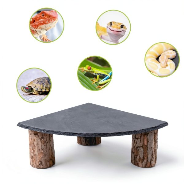Bearded Dragon Tank Accessories MHLLGN Slate Basking Platform Wood-3